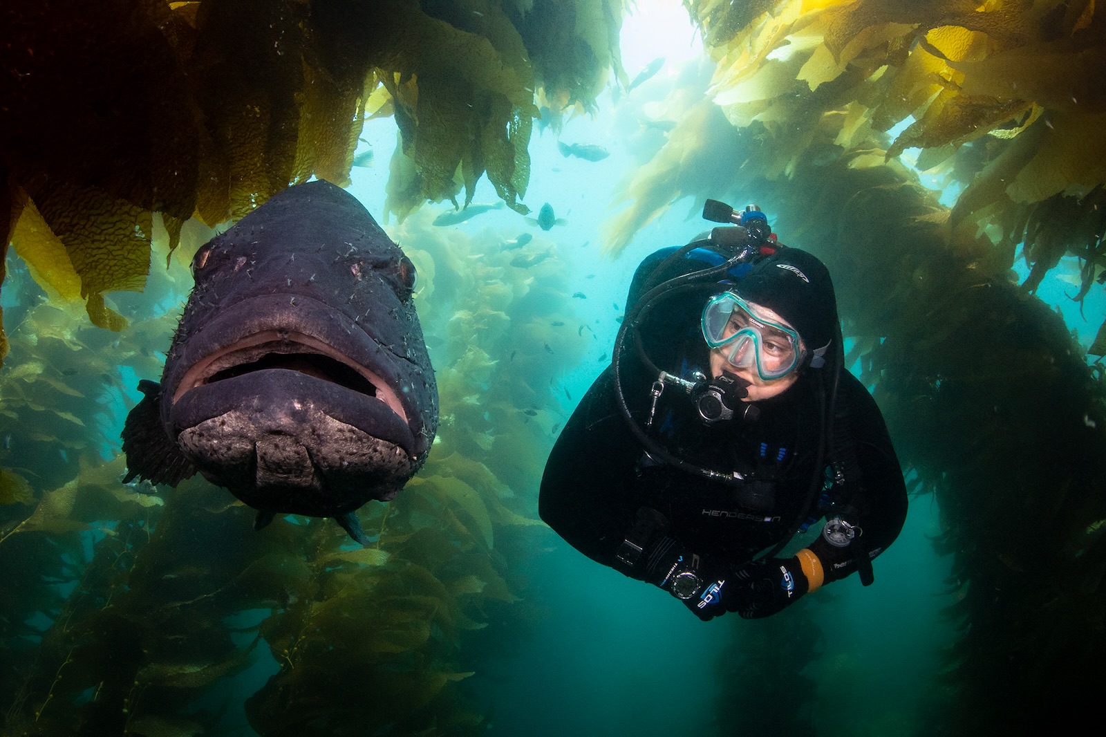 Anastasia with a giant sea bass